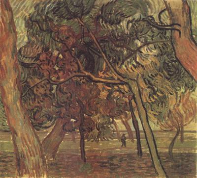 Vincent Van Gogh Study of Pine Trees (nn04) Germany oil painting art